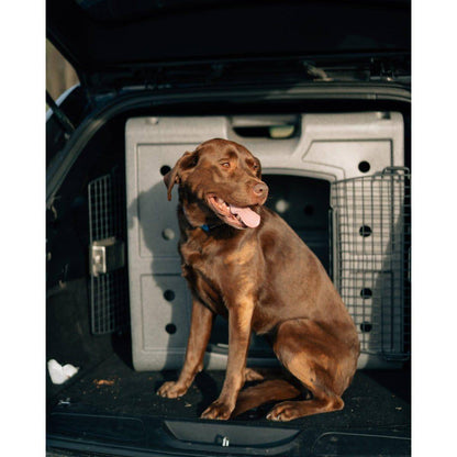 Dakota 283 2D Side Entry Kennel - OmniaPaws