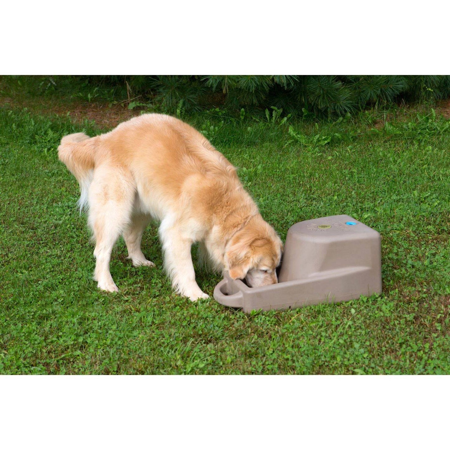 Dakota 283 Dash 5 Gallon Water System - Coyote Granite / No Antimicrobial Protection | OmniaPaws