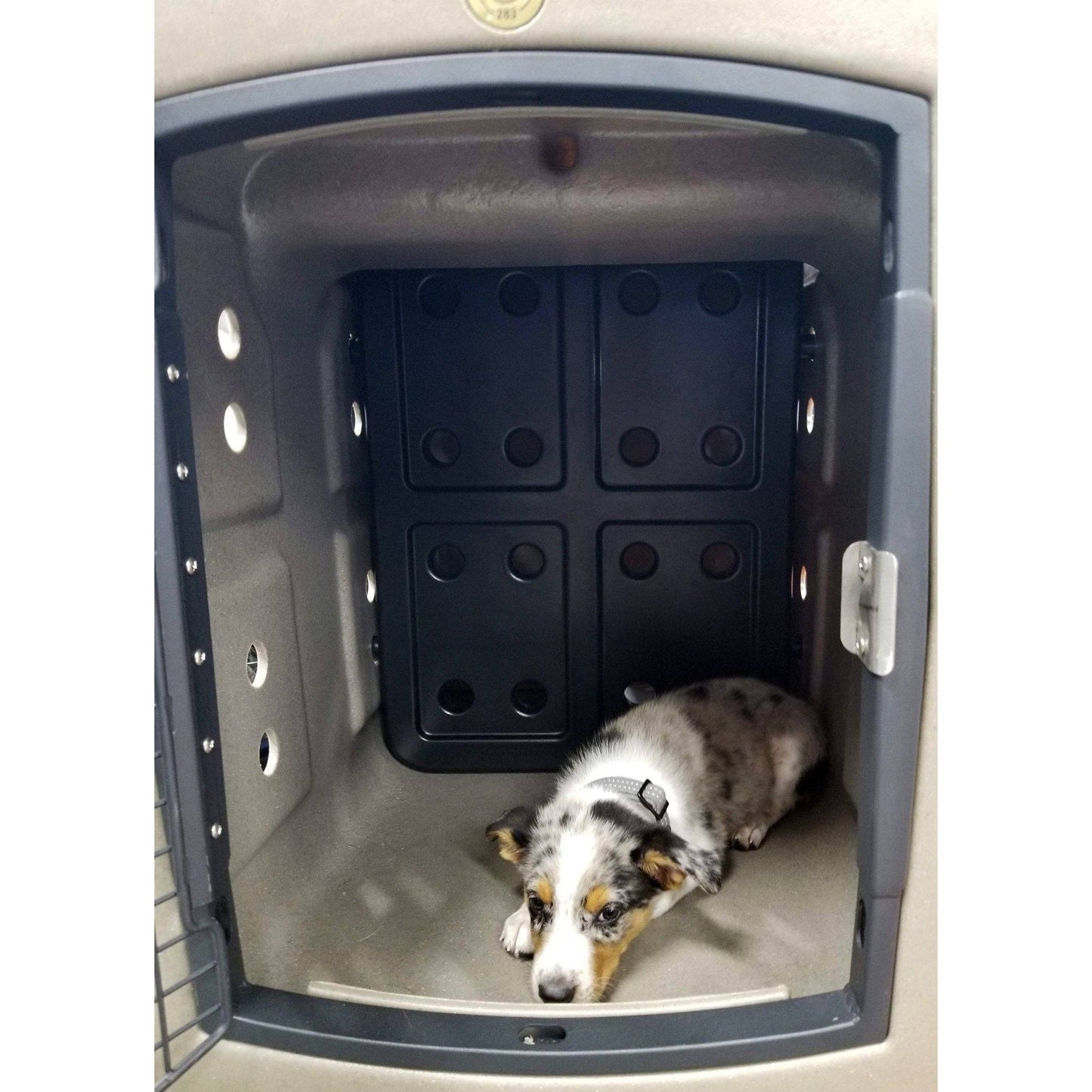 Dakota 283 Forever Insert - Kennel Divider - OmniaPaws