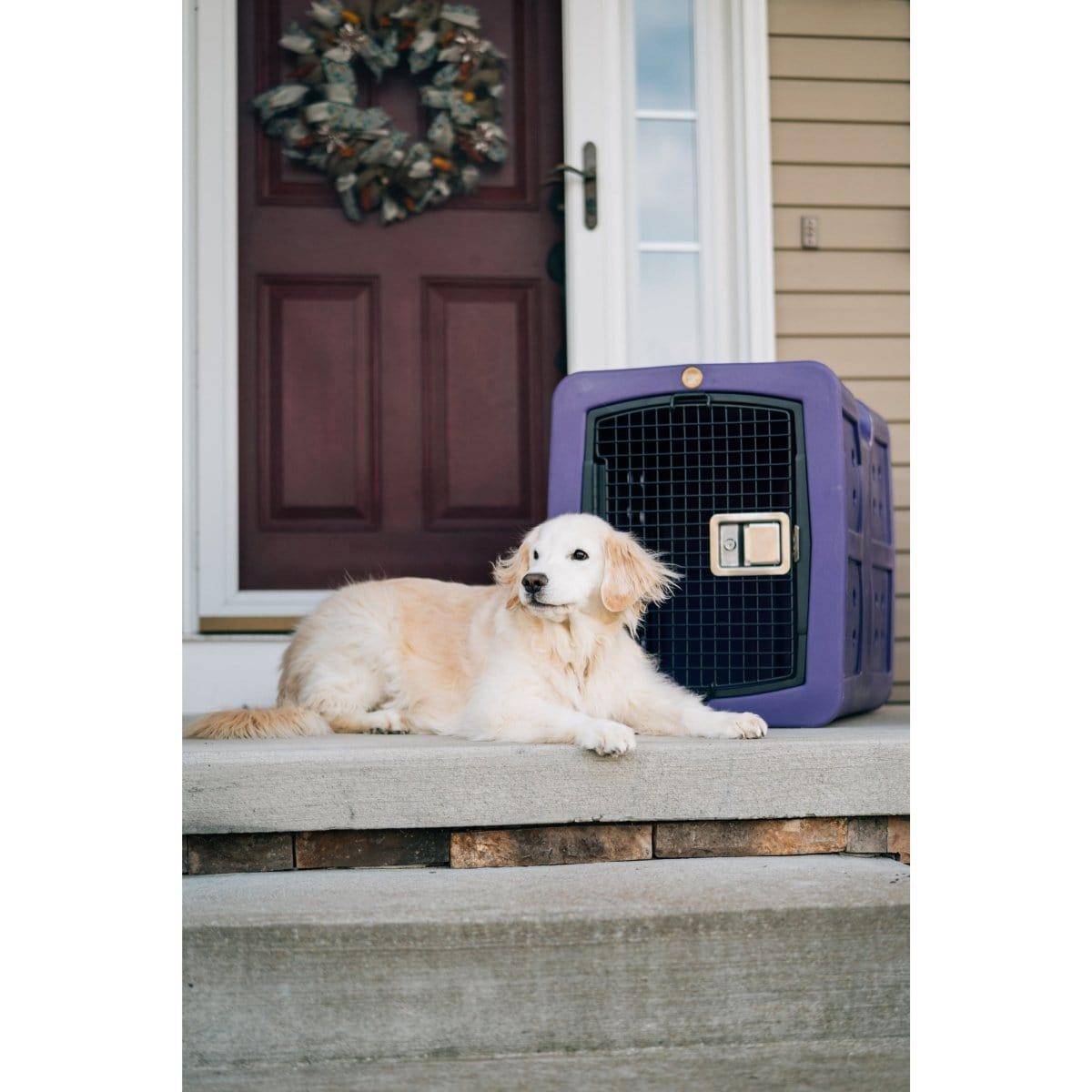 Dakota 283 G3 Medium Framed Kennel - OmniaPaws