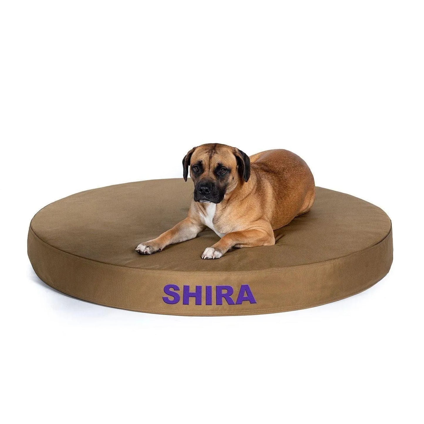 Solid Color Gorilla Ballistic Tough Round Orthopedic Dog Bed™ - Small / Orthopedic / Ballistic Red | OmniaPaws